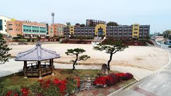 서해삼육고등학교 학생회 공약 이행을 위한 지원 부탁드립니다. 이미지
