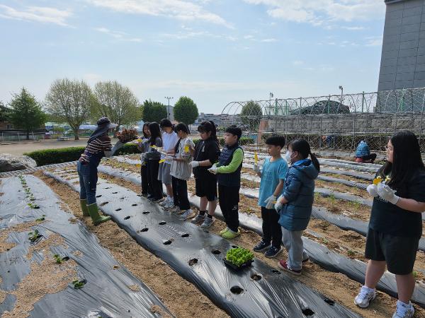 텃밭에서 자라는 자연 사랑~ 이미지