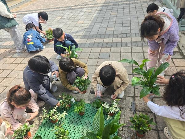 5월 - 나의 공기정화식물 키우기 이미지